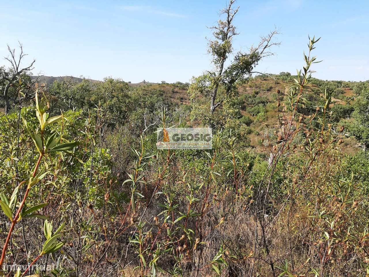 Terreno Rústico  Venda em Santa Clara-a-Nova e Gomes Aires,Almodôvar - Grande imagem: 4/12