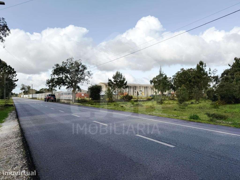 Oportunidade - 5 ha | Zona Industrial Salvaterra de Magos-8