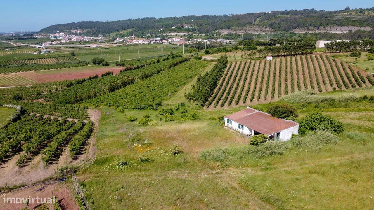 Terreno rústico na Roliça, Bombarral - Grande imagem: 4/12