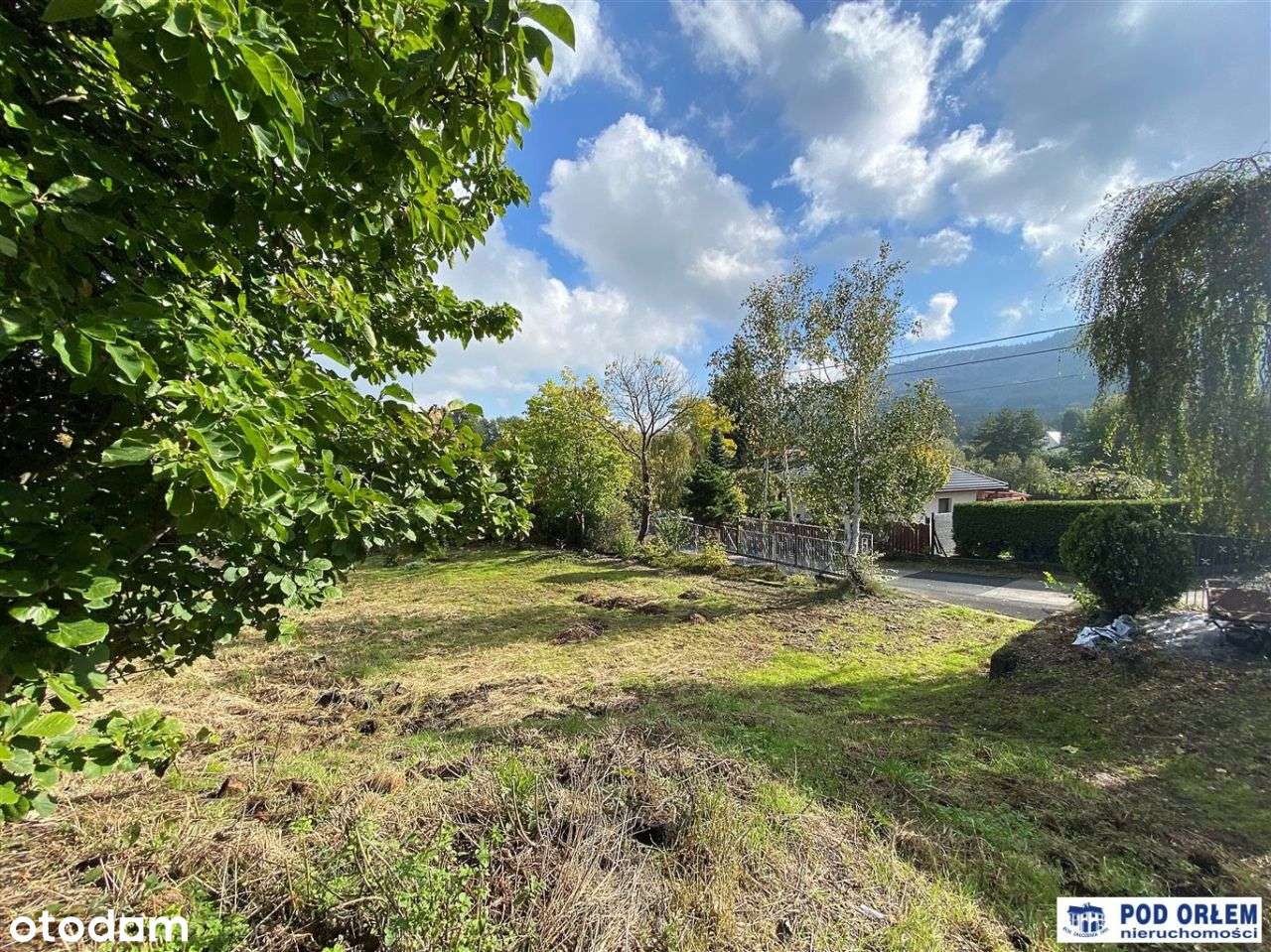 Kozy na granicy z Bielskiem - widok na góry - Pełny obrazek: 5/6