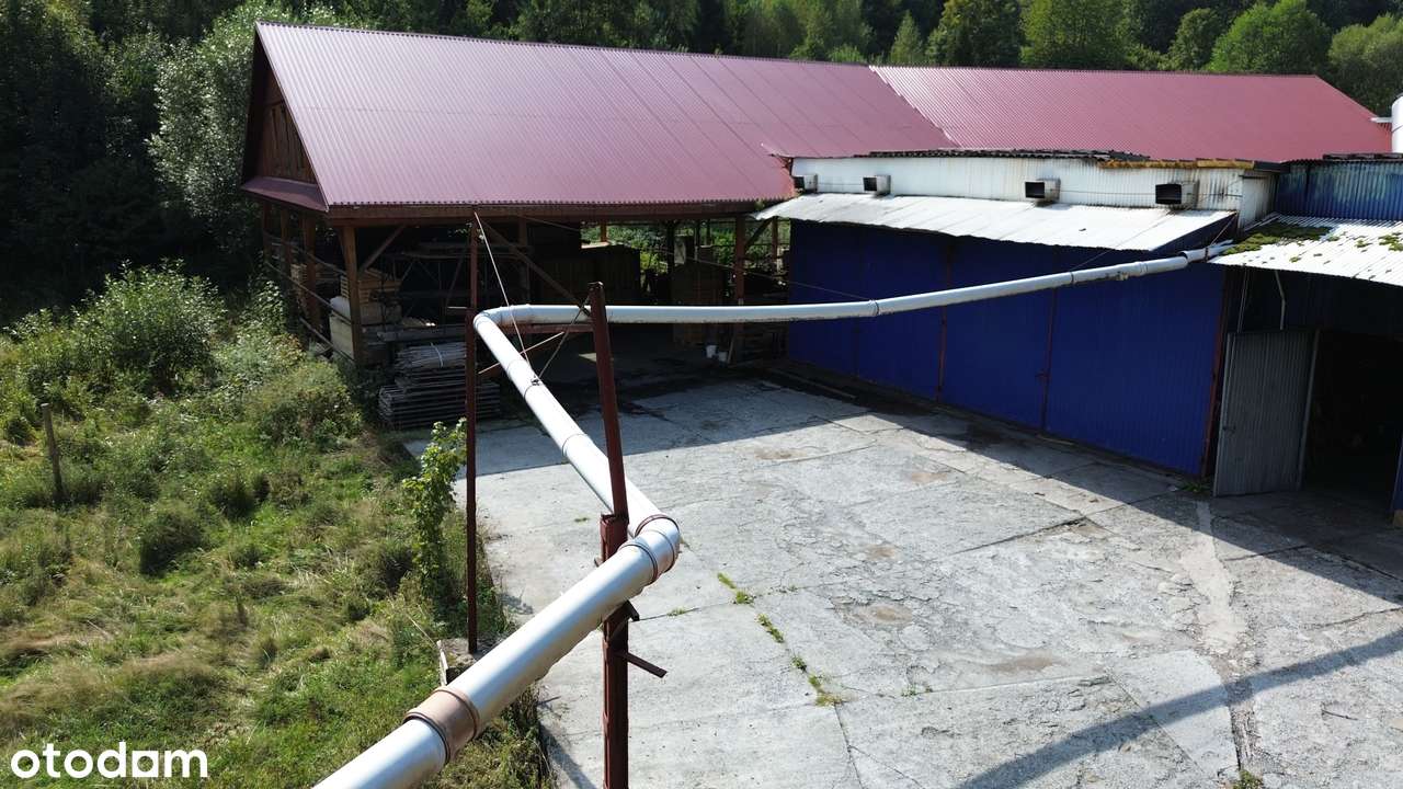 Sprzedam tartak-5