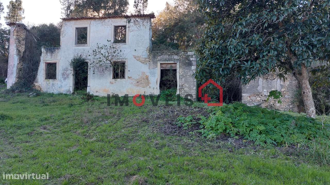 Moradia e terreno com seis mil metros quadrados! - Grande imagem: 4/34