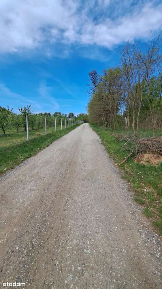 Pawłowice gm. Tarczyn, dobry dojazd S7 - Pełny obrazek: 5/5