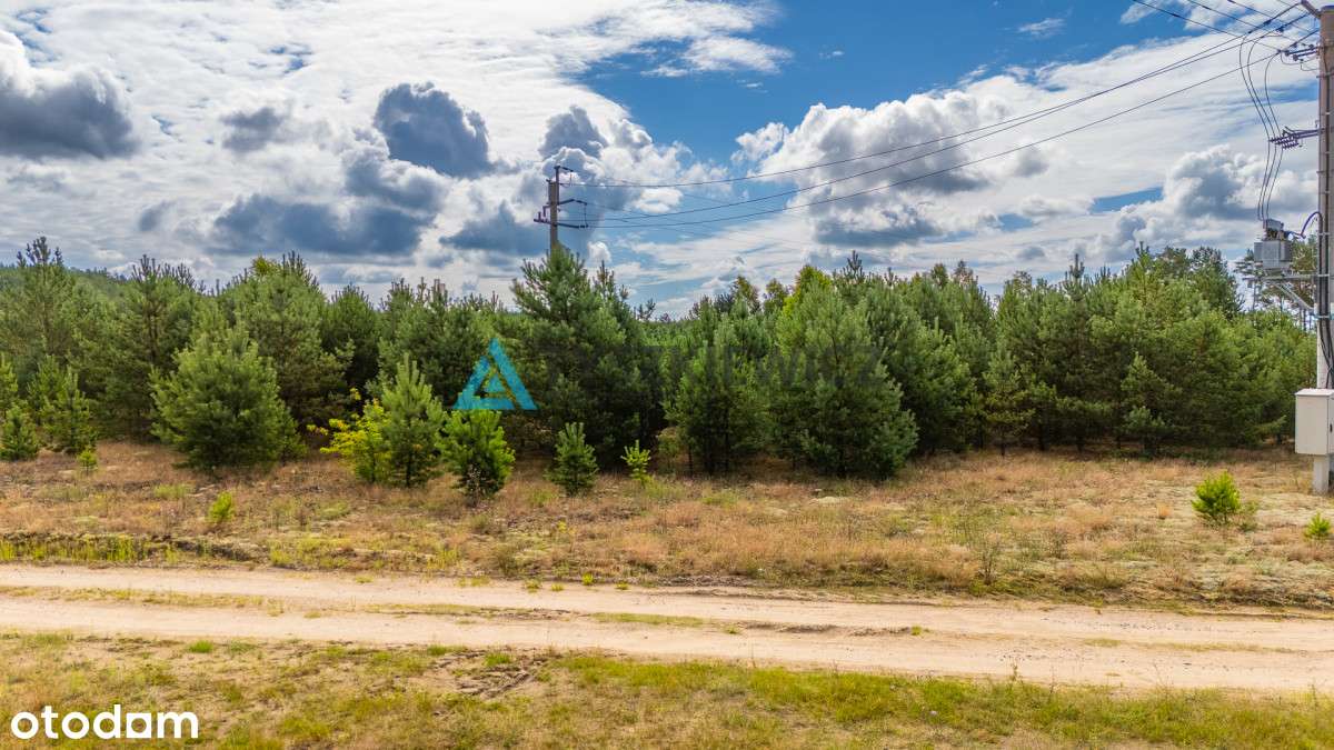 Działka W Zbrzycy - 3173 m² | Media W Drodze - Pełny obrazek: 5/12