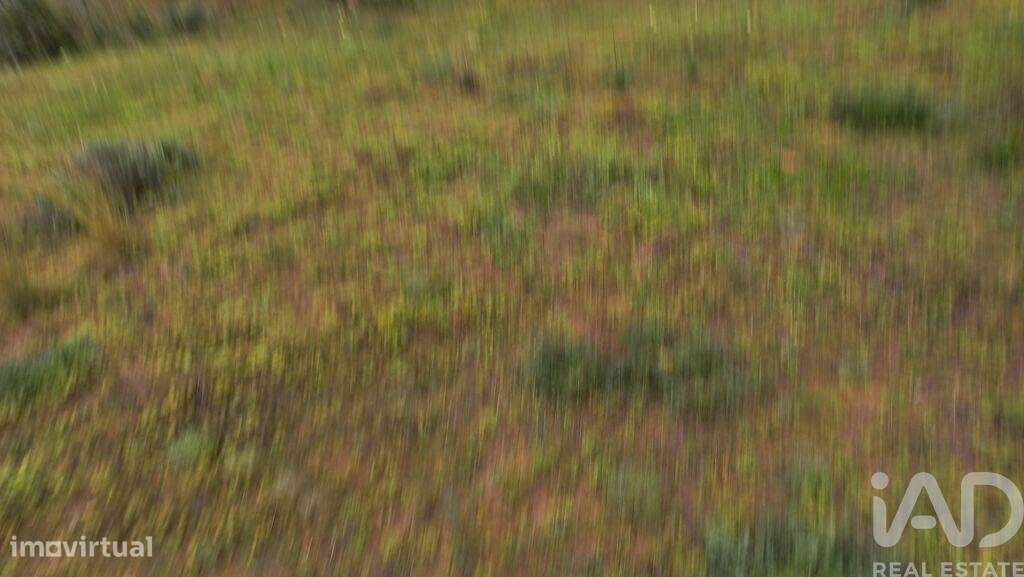 Terreno Agrícola em Quarteira de 3500,00 m2 - Grande imagem: 3/7