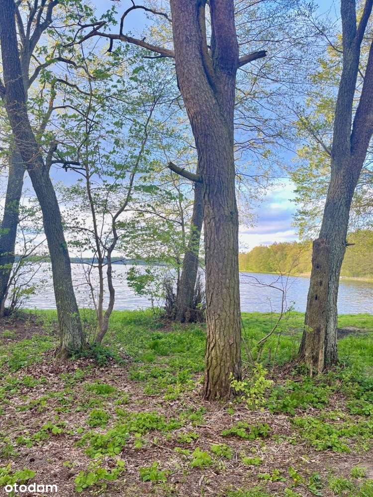 Domy w Warzenku, Duże działki, tenis, golf, konie-8