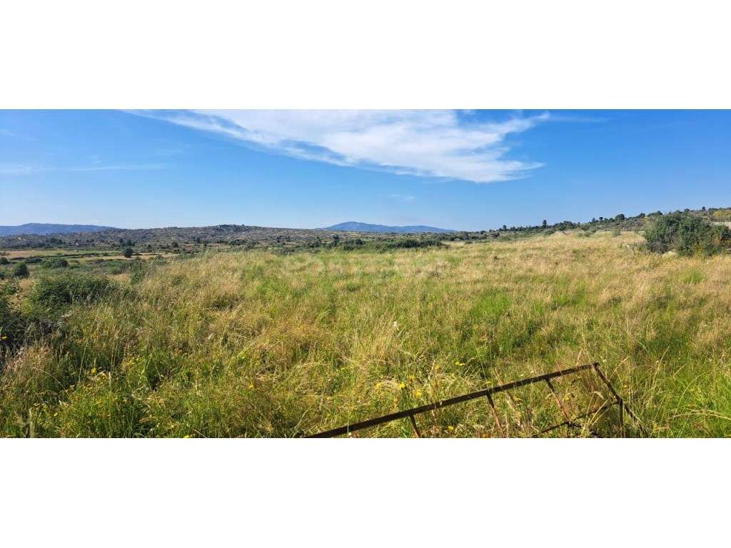 Armazém e terreno agrícola em Estevais, Torre de Moncorvo - Grande imagem: 4/12