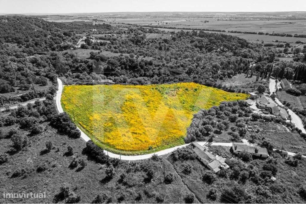 Magnífico terreno, em Santarém, Construção até 3000m2, em zona de exce - Grande imagem: 5/20