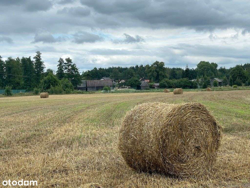 Dom w cichej i zalesionej okolicy, 90 km od Wawy-8