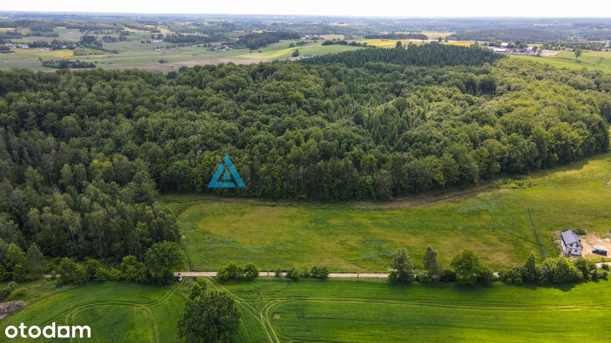 Duża działka budowlana  blisko jeziora  Trzepowo - Pełny obrazek: 2/20