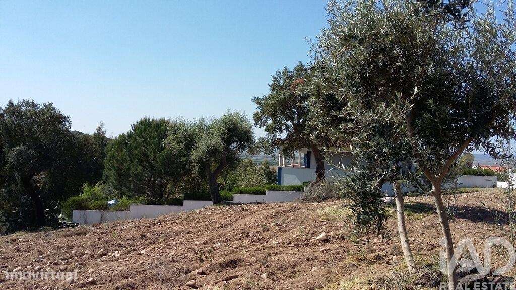 Terreno em Chamusca e Pinheiro Grande de 712,00 m2 - Grande imagem: 4/11