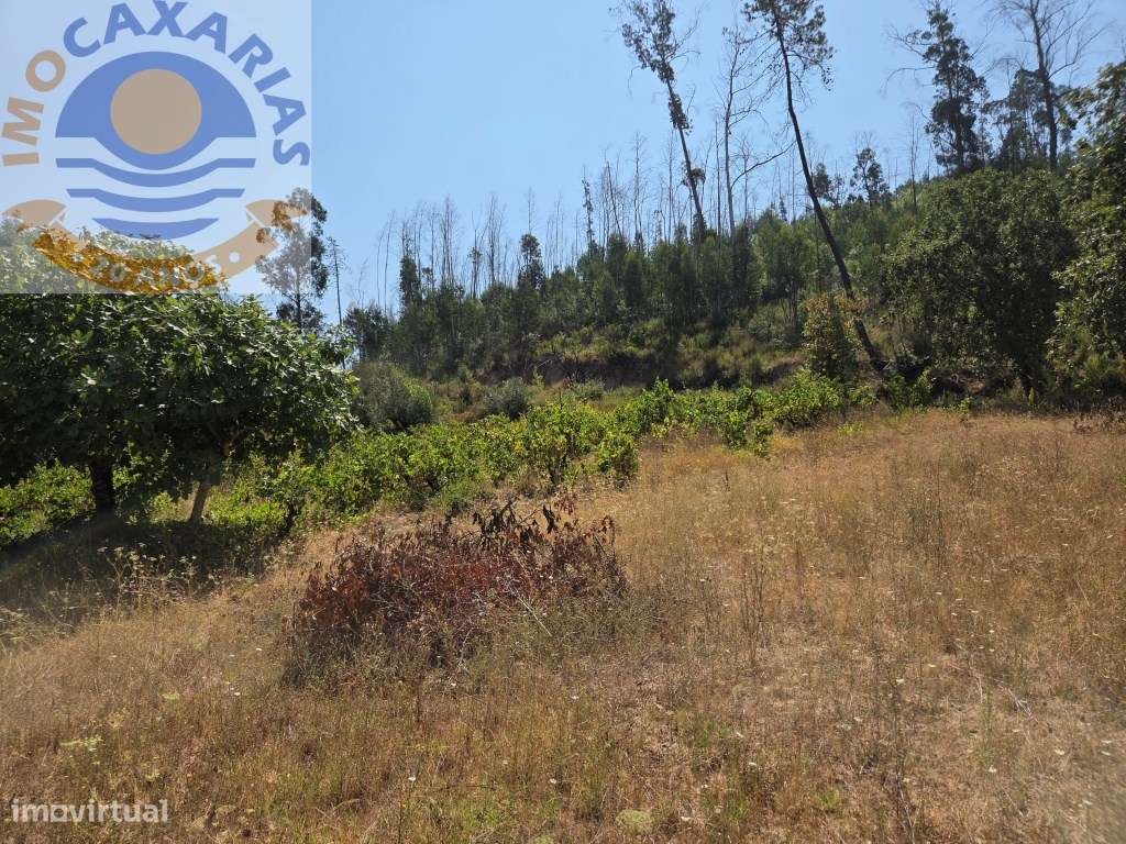 Terreno - Grande imagem: 4/19