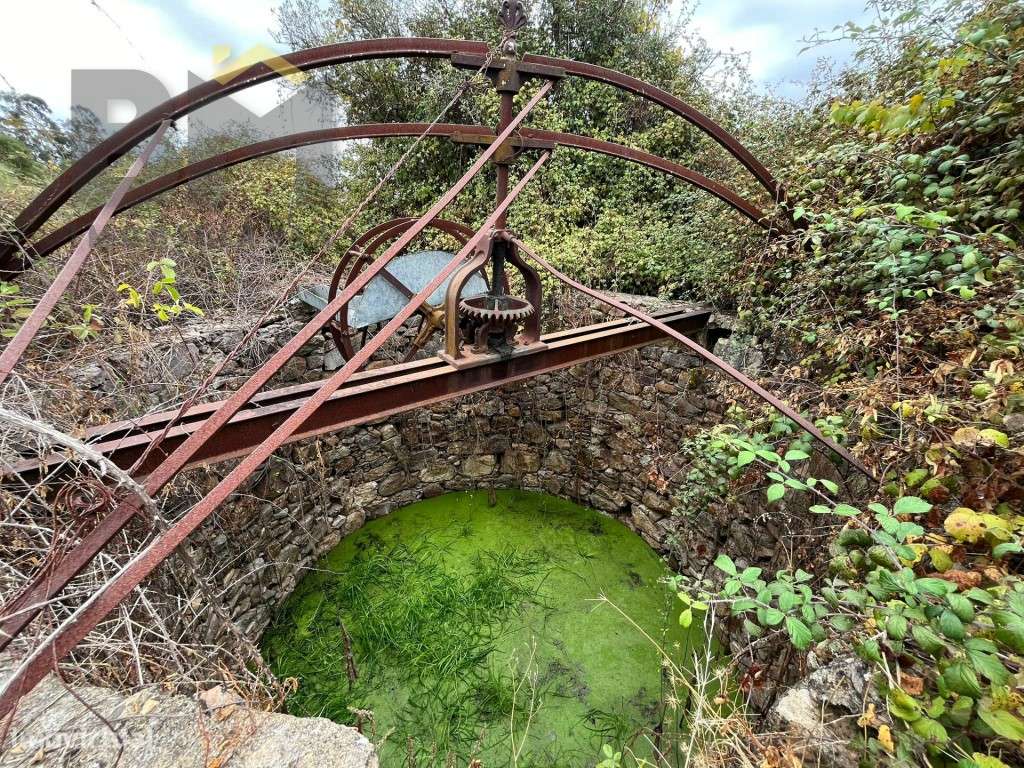 Quinta com cerca de 1.7ha para venda em Monforte da Beira! - Grande imagem: 2/17