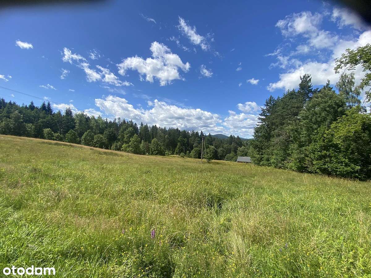 Istebna - działka budowlana 13 ar przy przejściu granicznym Jasnowice - Pełny obrazek: 4/18