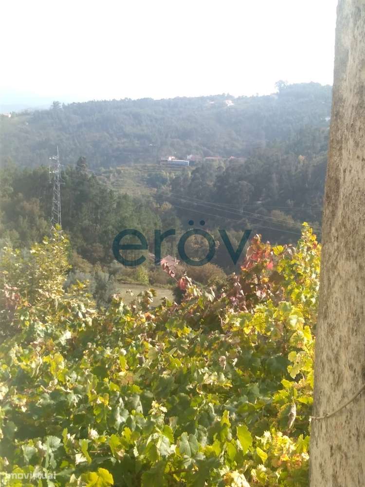 Quinta em Gémeos - Celorico de Basto - Grande imagem: 5/8