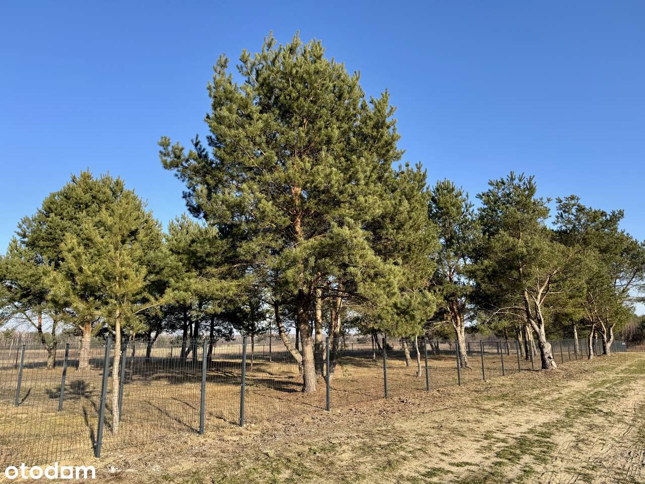 Działki budowlane przy jeziorze Białym-13