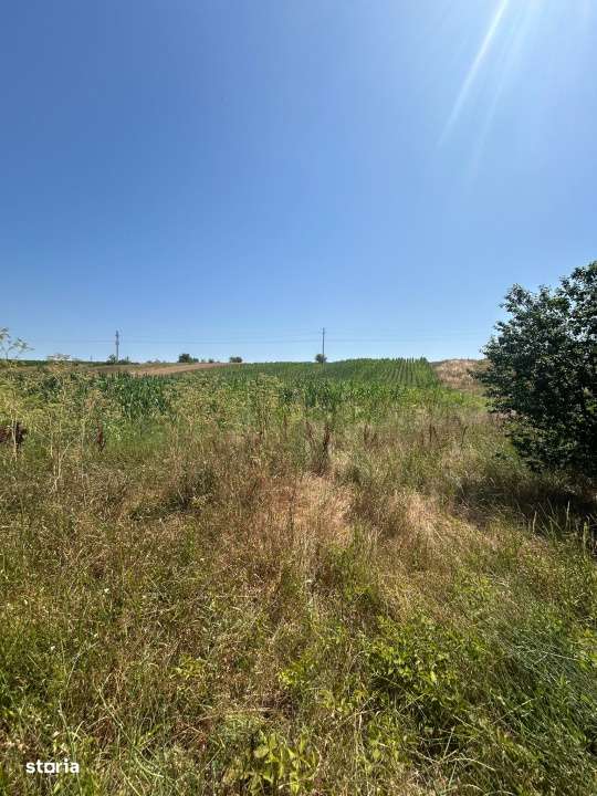 Teren intravilan, 5000 MP, Isalnita - Imagine principală: 1/2