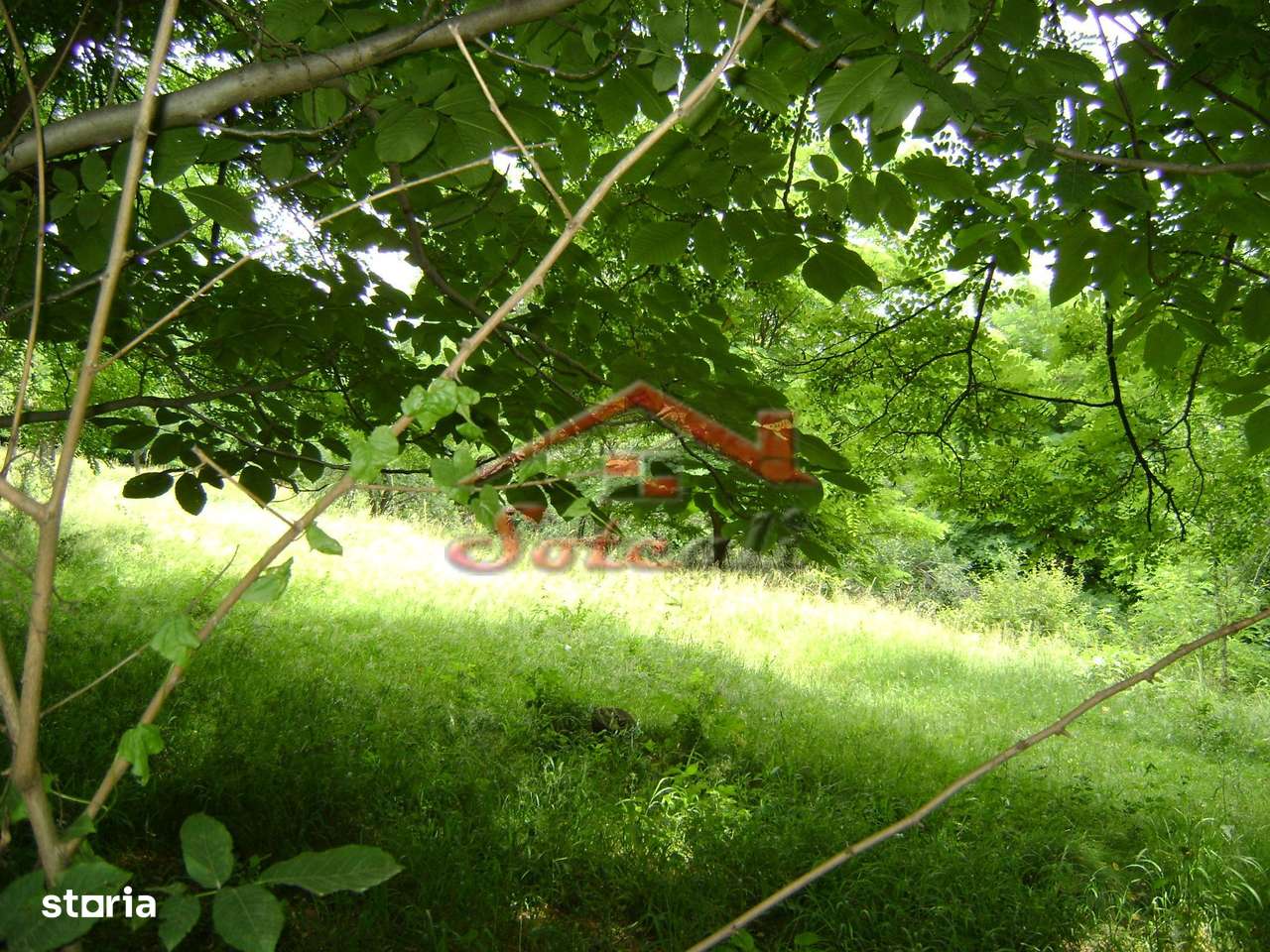 Teren de vanzare Cornu 3074 mp-1