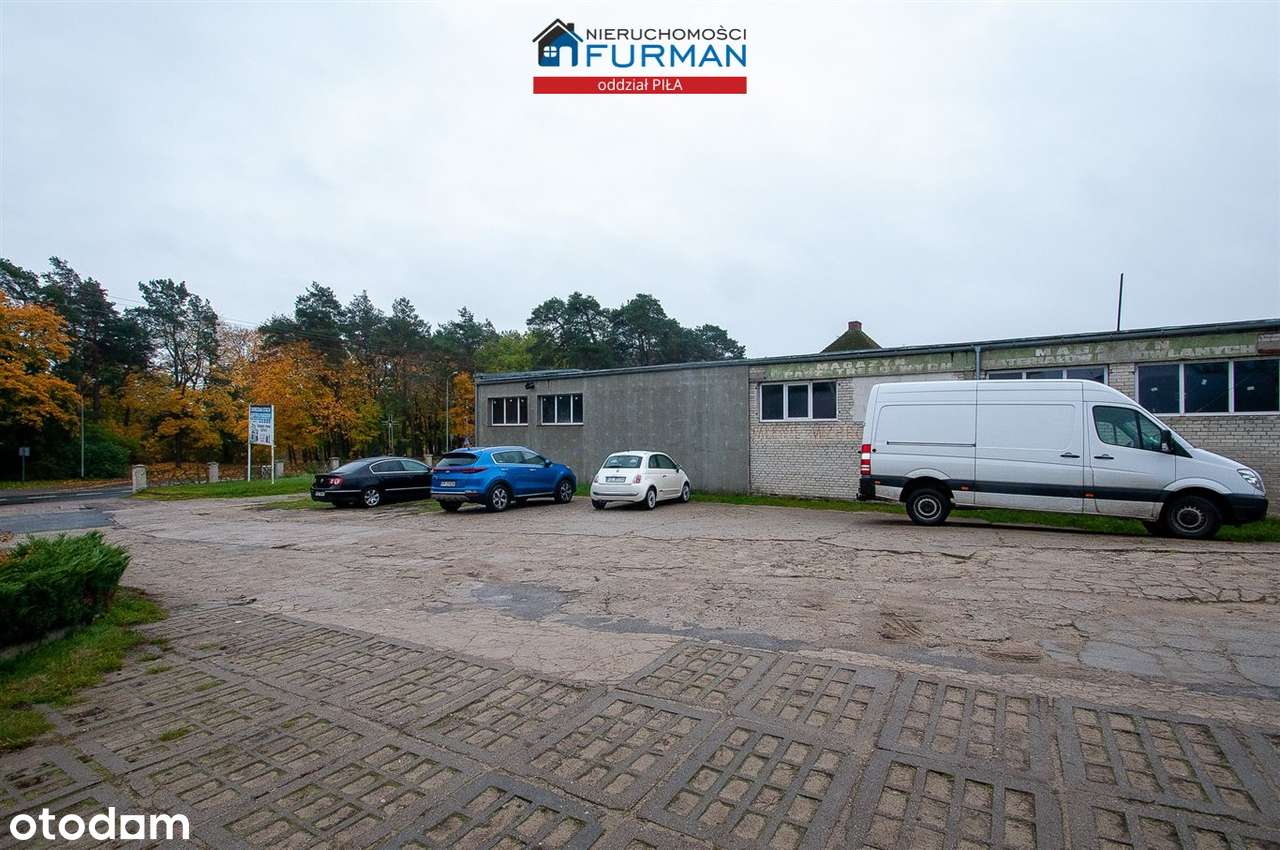 Hala na sprzedaż, Jastrowie - Pełny obrazek: 4/15