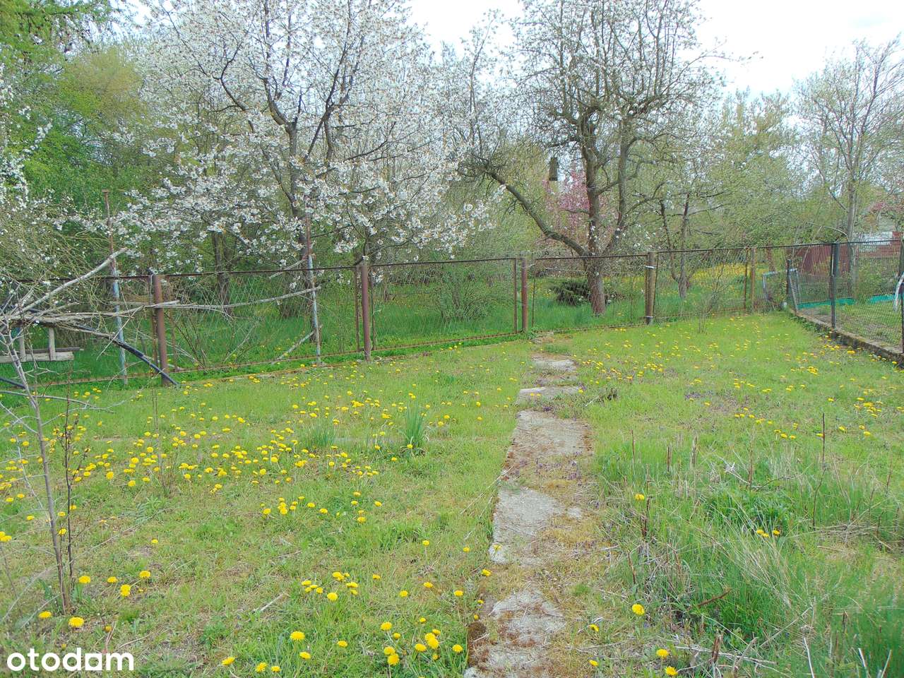 DZIAŁKA OGRODOWA ROD „MŁODOŚĆ-5