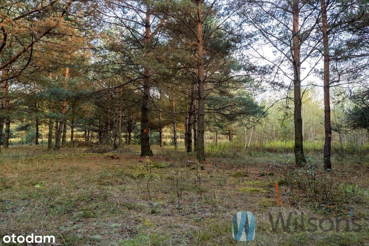 Urokliwe działki Cząstków Polski -15 km od W-wy - Pełny obrazek: 3/13