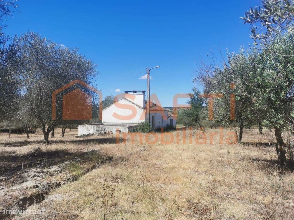 Pequena quinta com casa por recuperar/expandir em 7,9 ha. - Grande imagem: 5/36