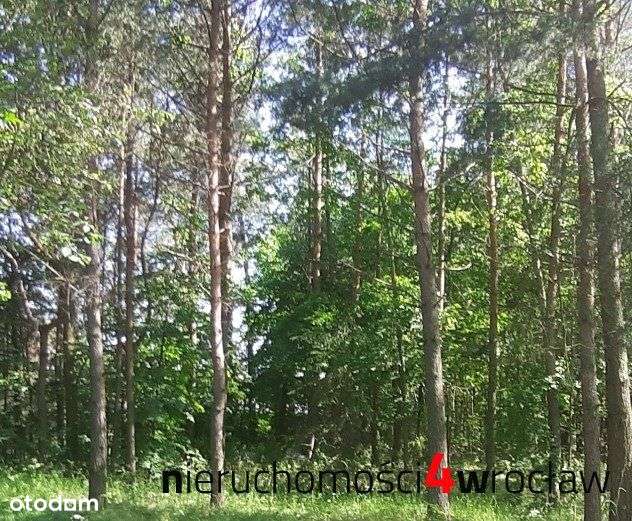 7 działek*Potok*Budowlane /Usługi*Media-2