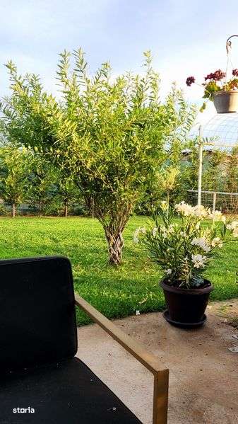 Teren 400 mp amenajat zona tancodrom - Imagine principală: 4/8