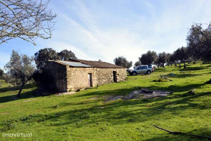 Herdade do Monte da Pedra.-6