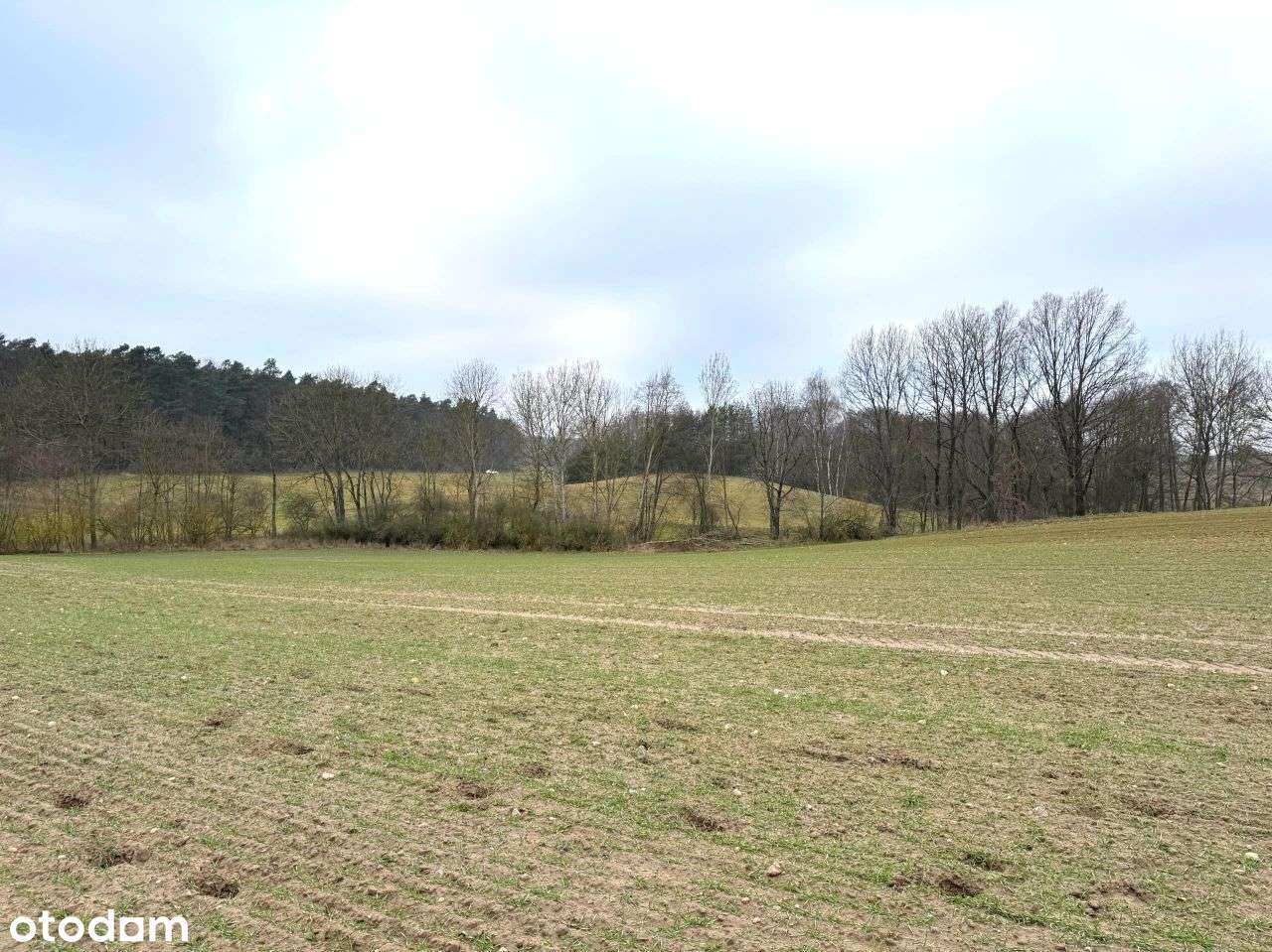 Rola Przy Parku Krajobrazowym Promno - Pełny obrazek: 4/15