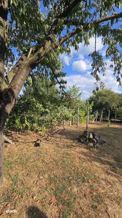 Casa si teren de vanzare – Zona Careiului - Imagine principală: 3/19