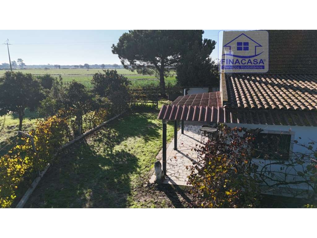 EXCLUSIVO - Quinta com 2069 m2, T1 e um armazém - Asseiceira(Palmela)-42
