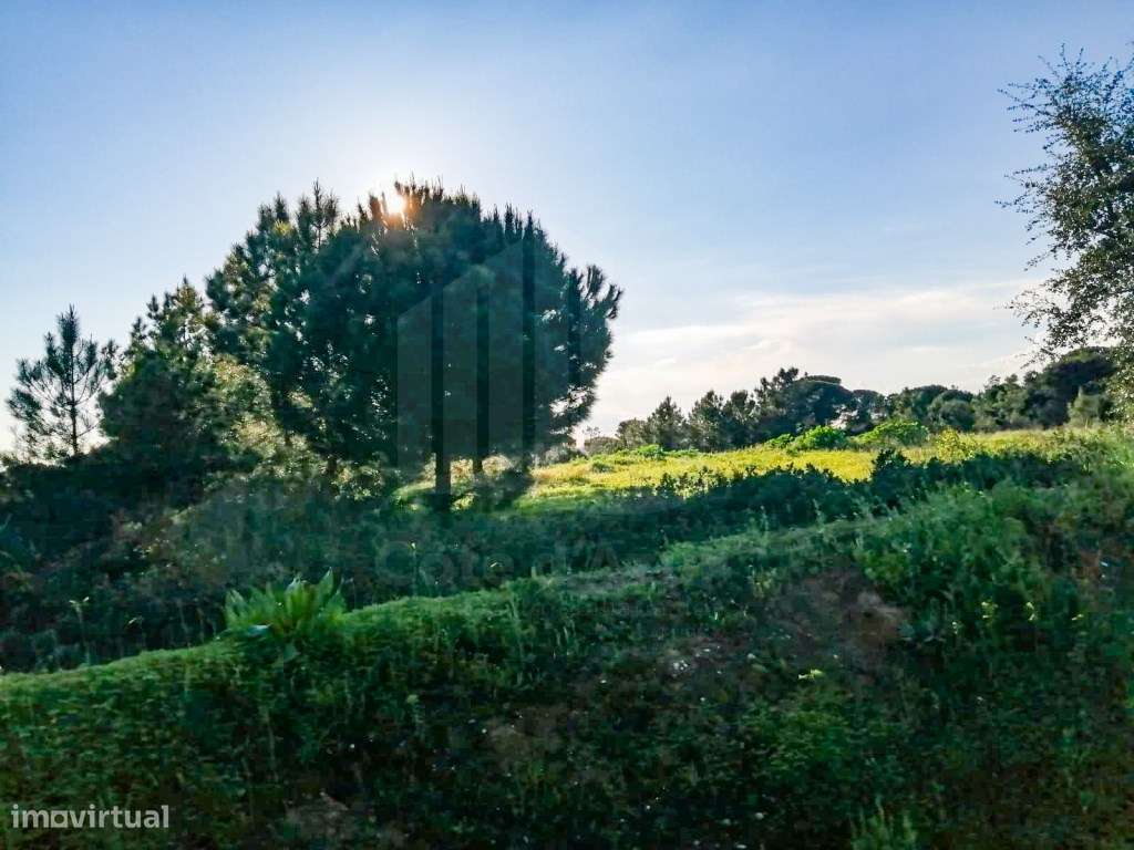 TERRENO ZONA INDUSTRIAL - Grande imagem: 2/5