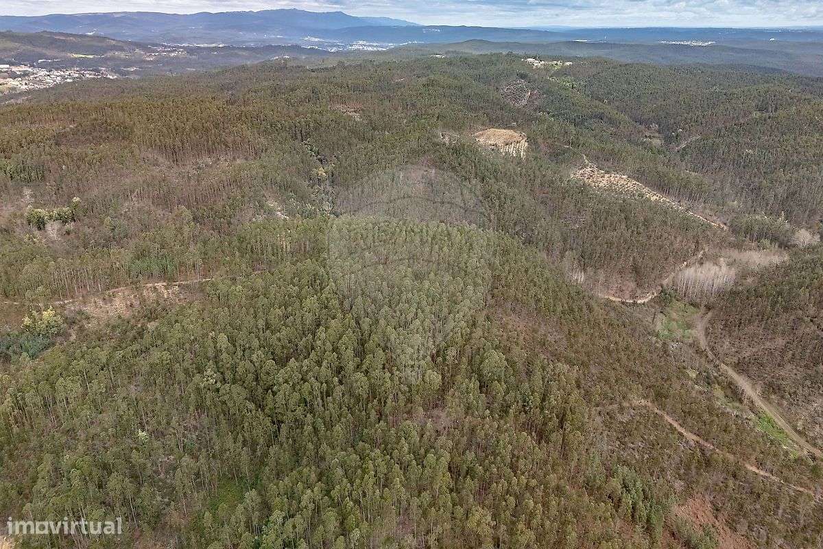 Terreno  para venda - Grande imagem: 2/9