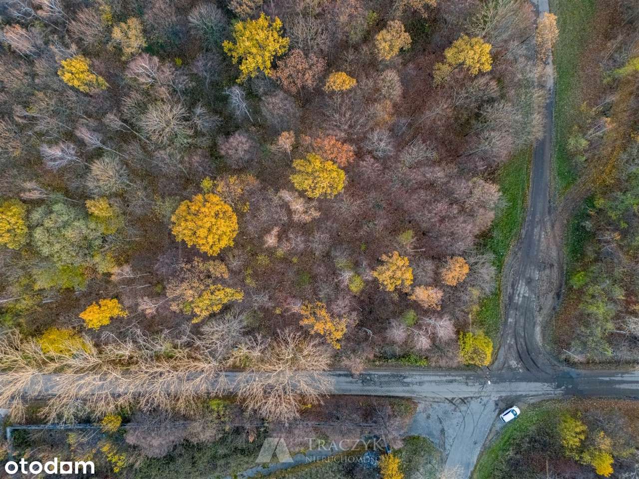 Dla inwestora / handel, usługi /market spożywyczy - Pełny obrazek: 5/13