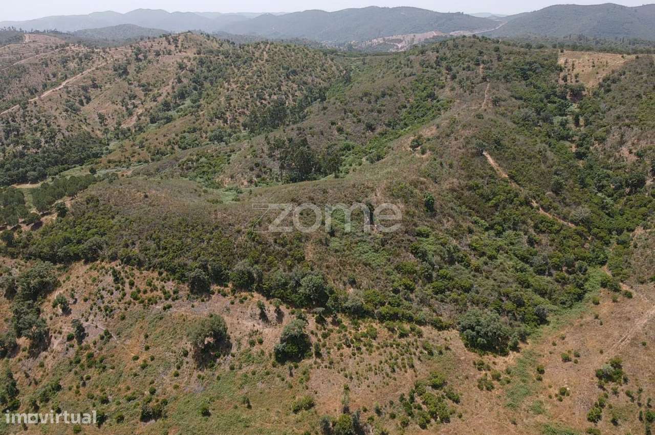 Terreno Rústico em Vale Bezerra, São Marcos da Serra c/ 6.2 hectare... - Grande imagem: 2/16