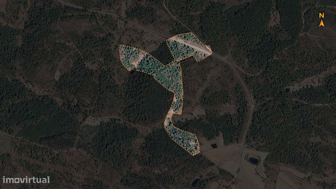 Quinta  Venda em Sarzedas,Castelo Branco-18