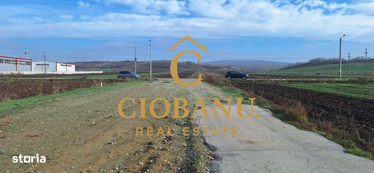 Hala de vanzare in Racari de Jos-14