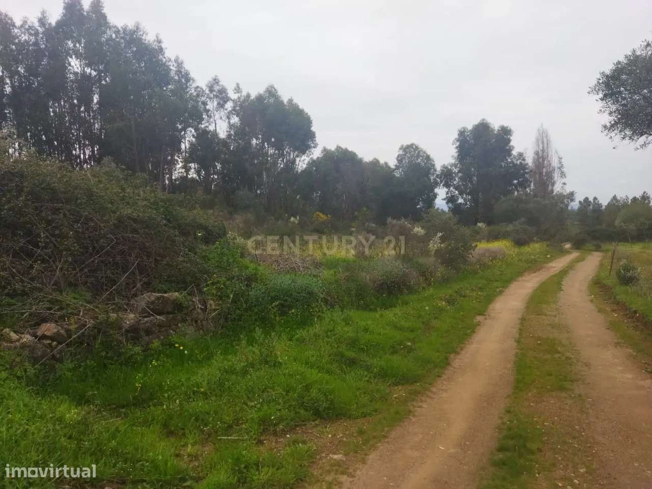 Terreno Rústico | Lousa CTB, Castelo Branco - Grande imagem: 5/10