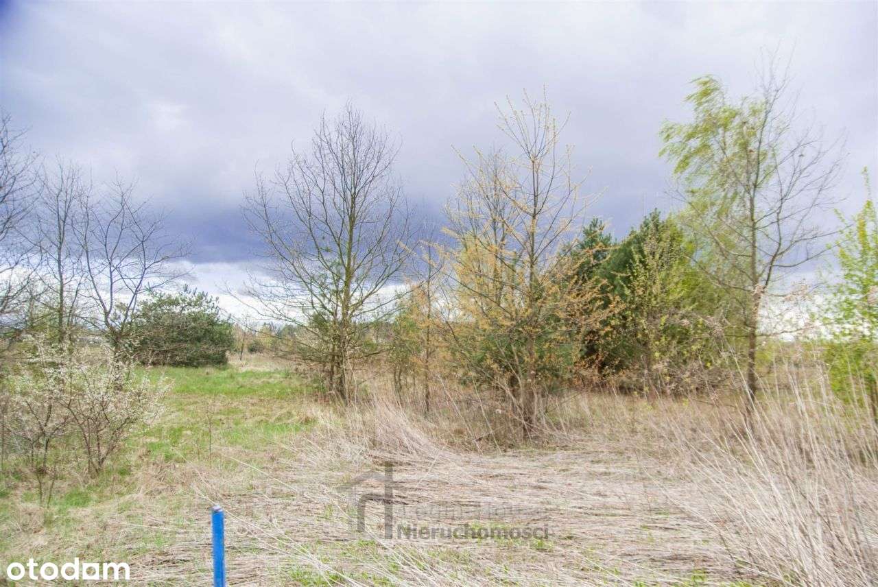 Atrakcyjna działka budowlano-rolna przy lesie! - Pełny obrazek: 5/5