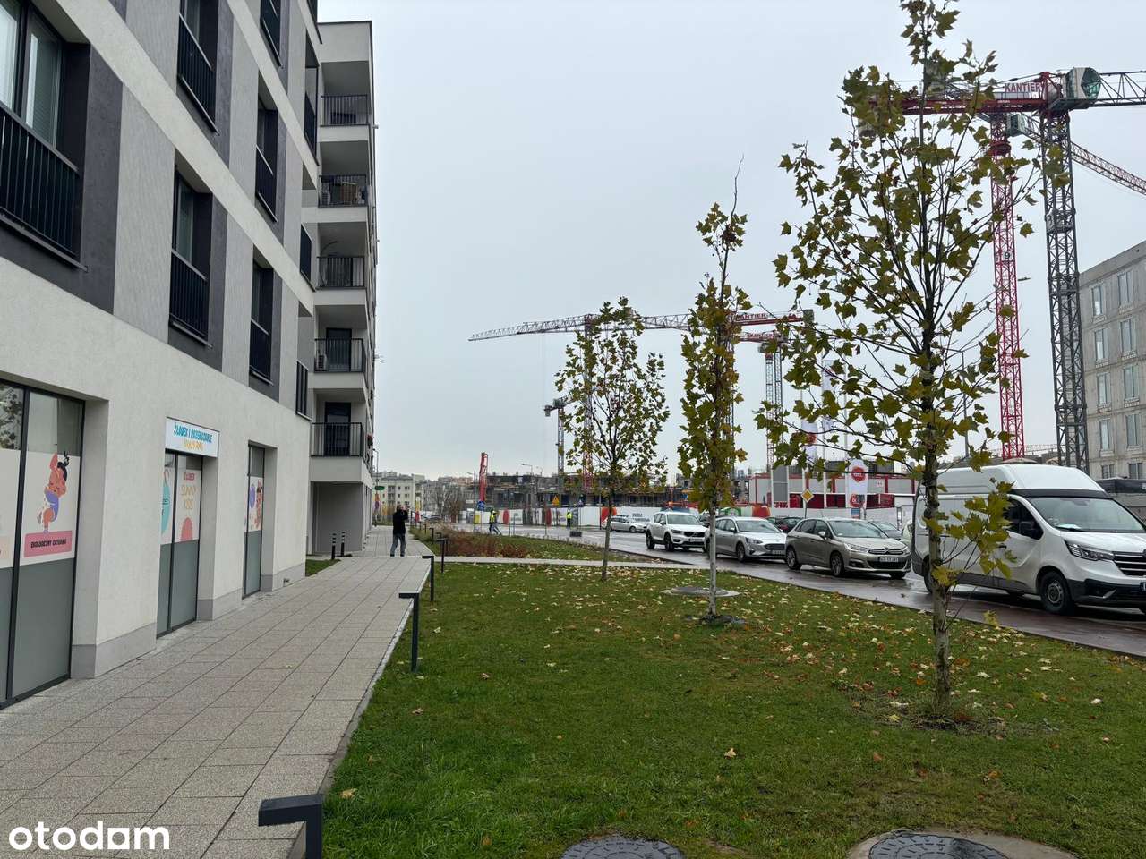 Nowoczesny lokal usługowy na wynajem z parkingiem - Pełny obrazek: 2/6