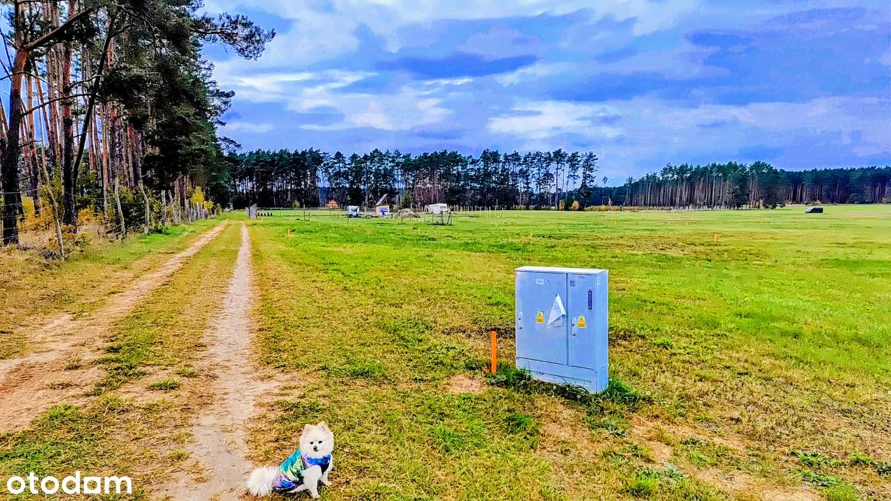 Miejsce, gdzie natura ma swoje skrzydła - Pełny obrazek: 4/20