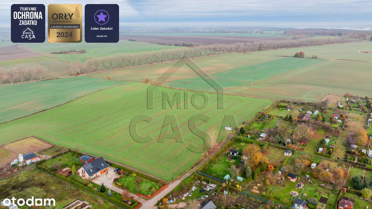 978316 - Pełny obrazek: 5/7