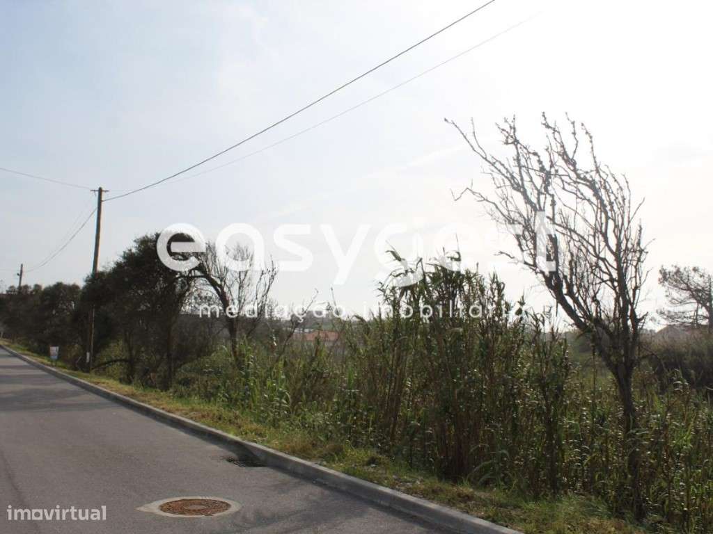 Terreno para construção - Grande imagem: 3/4