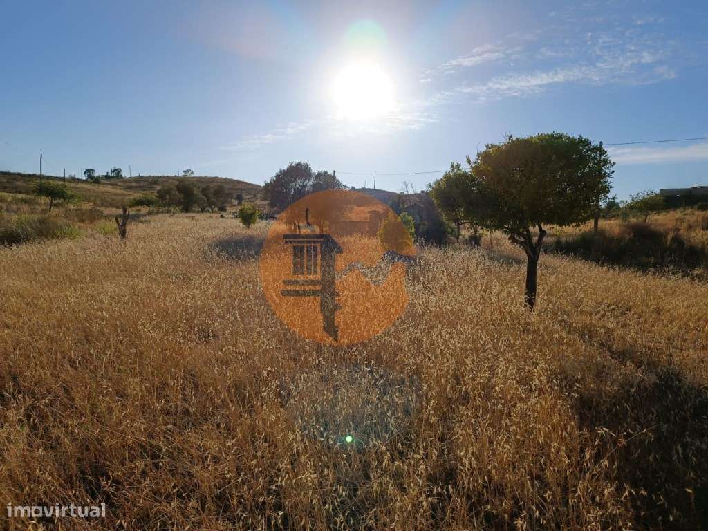 TERRENO COM ARMAZÉM - RUINA - NORA - FURO - COM 77.630 M2 - CONSTRU... - Grande imagem: 5/22