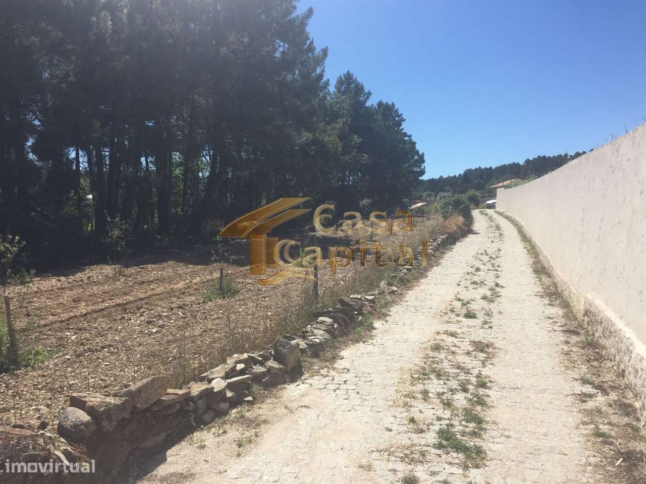 Terreno junto à E.N. 322 - Grande imagem: 5/6