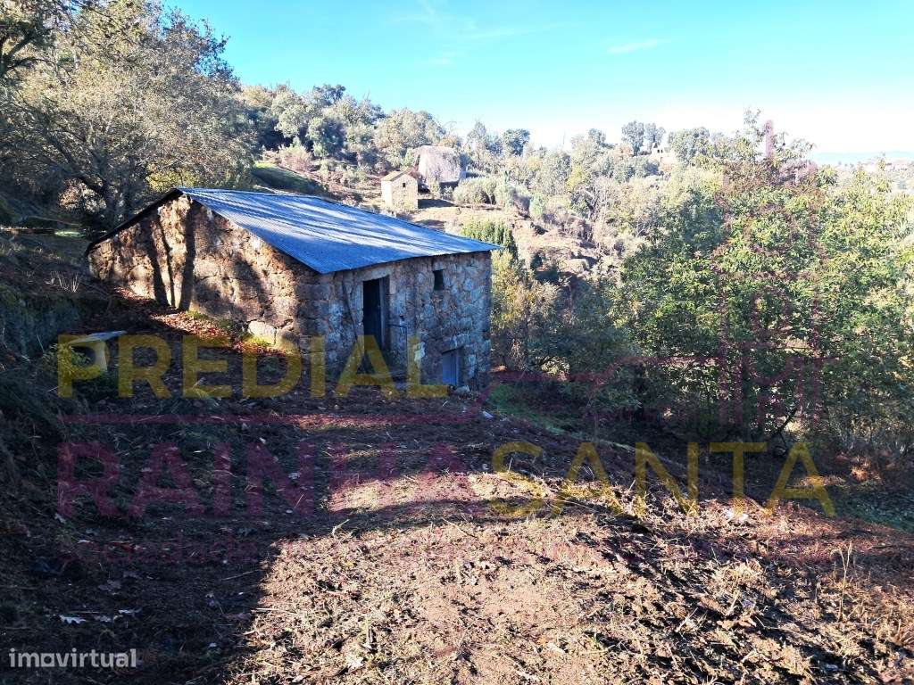 Quinta com ribeira em Candosa, Tábua - Grande imagem: 4/17