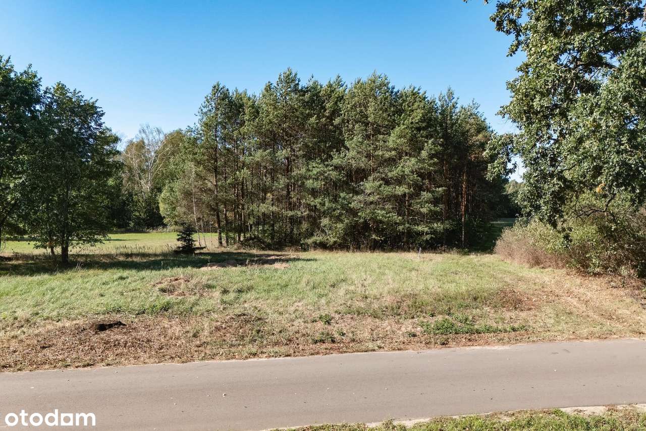 Działka z WZ gotowa na budowę | spokój, zieleń i własny kawałek lasu - Pełny obrazek: 2/9