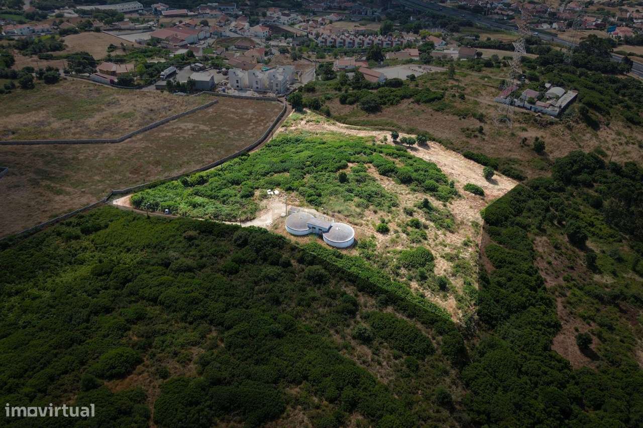 Terreno com Potencial Agrícola e Ambiental | 11.580 m² – Murteira - Grande imagem: 4/18