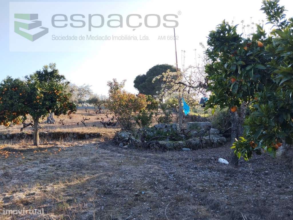 Quintinha com construções e poço - Grande imagem: 3/27